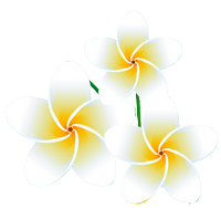 Conciergerie fleurs des iles Guadeloupe